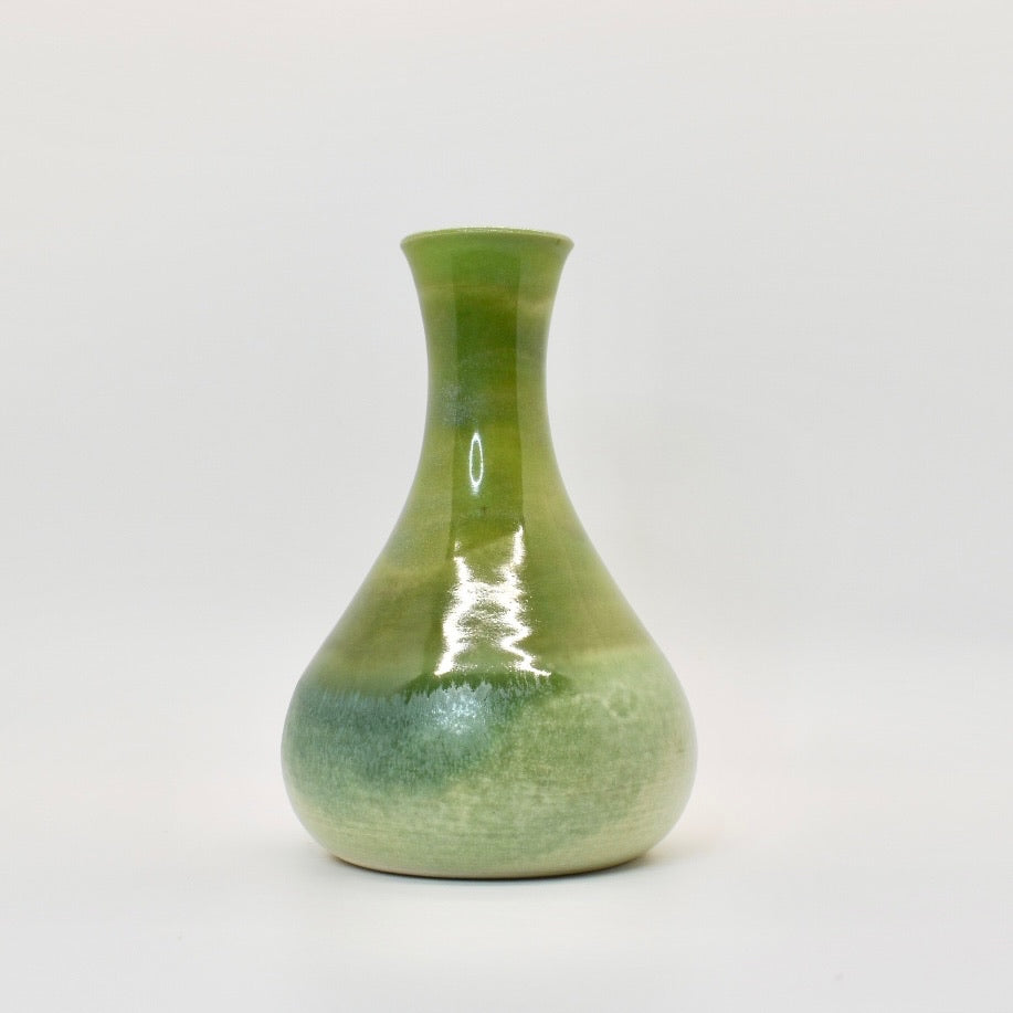 Moss Cactus Vase #2003