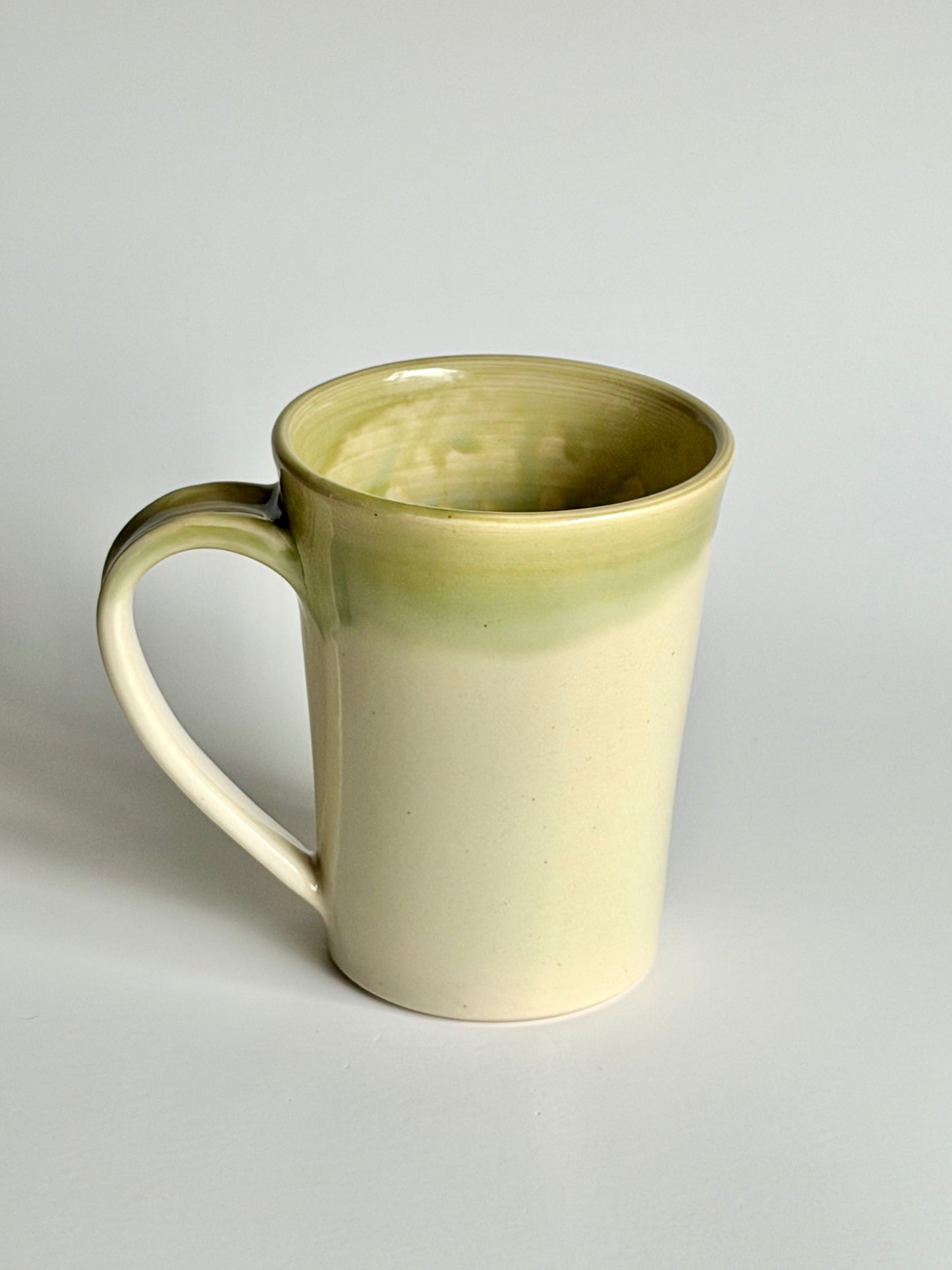 Winged Ones Mug: Luna Moth  #4145