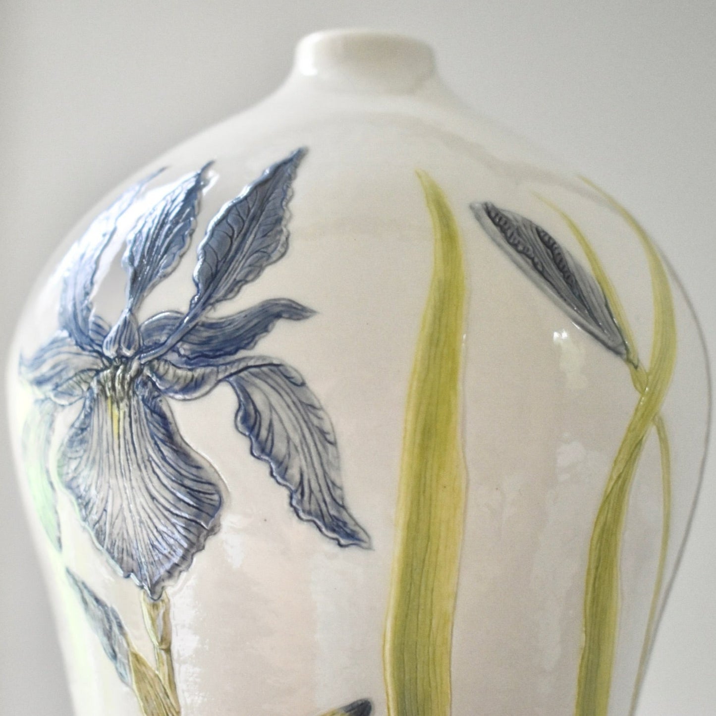 Iris & Cabbage White  #4005