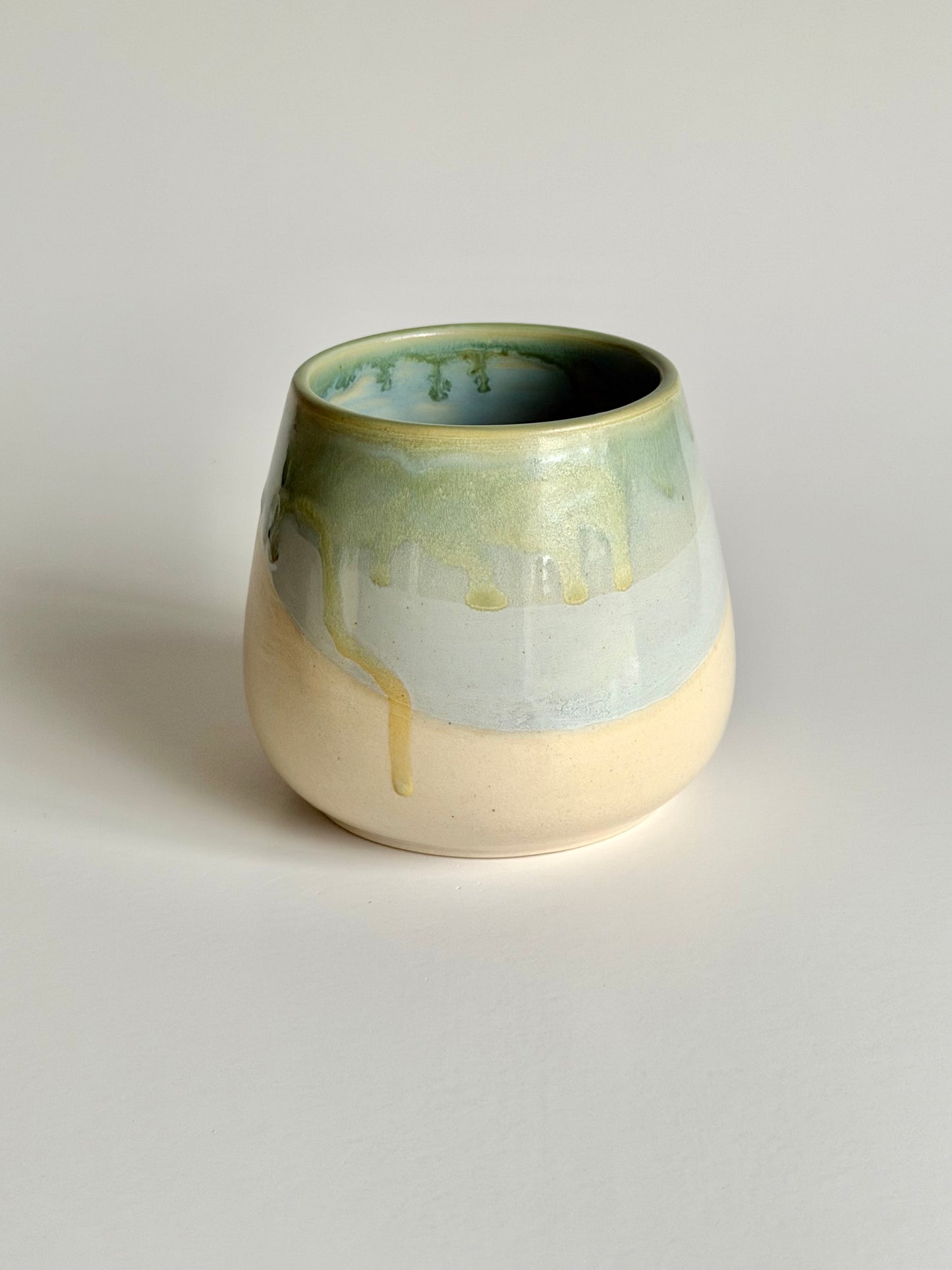 Winged Ones Cup: Dragonfly (B) #4151