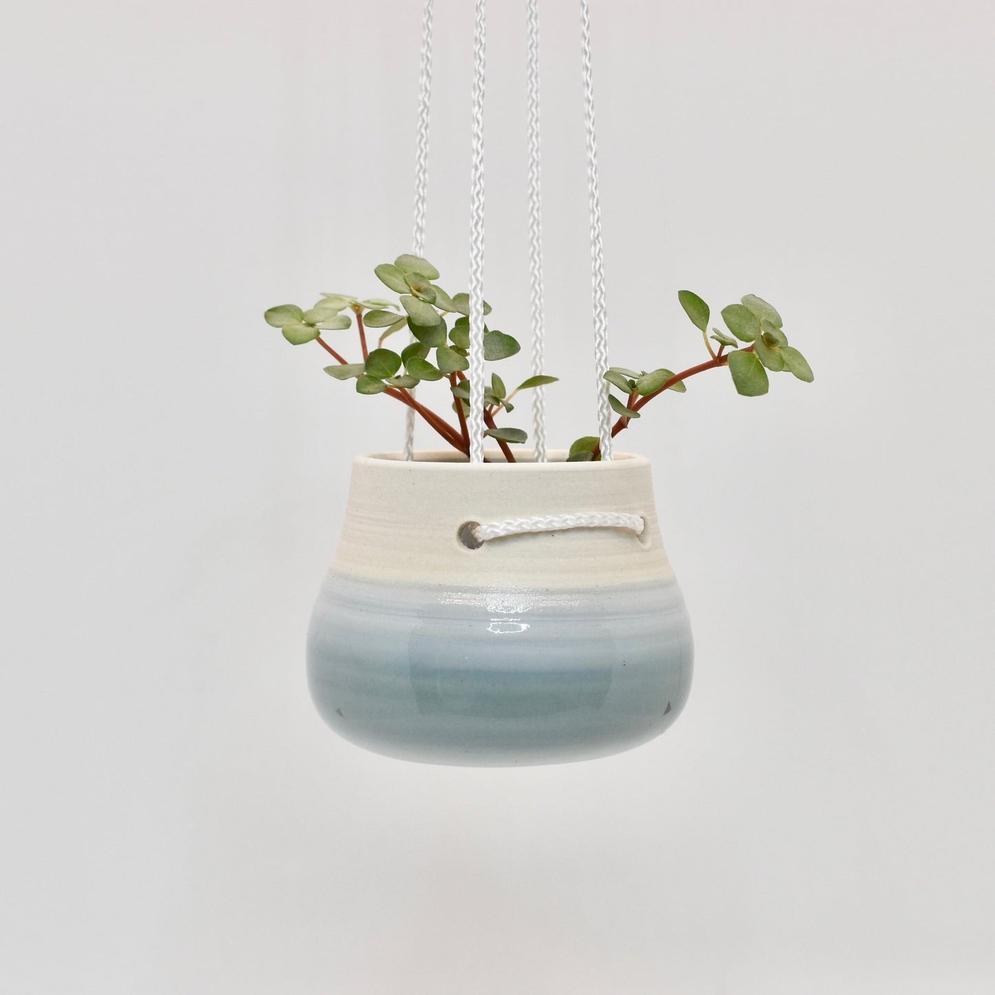 Pearl Little Hanging Planter #1015
