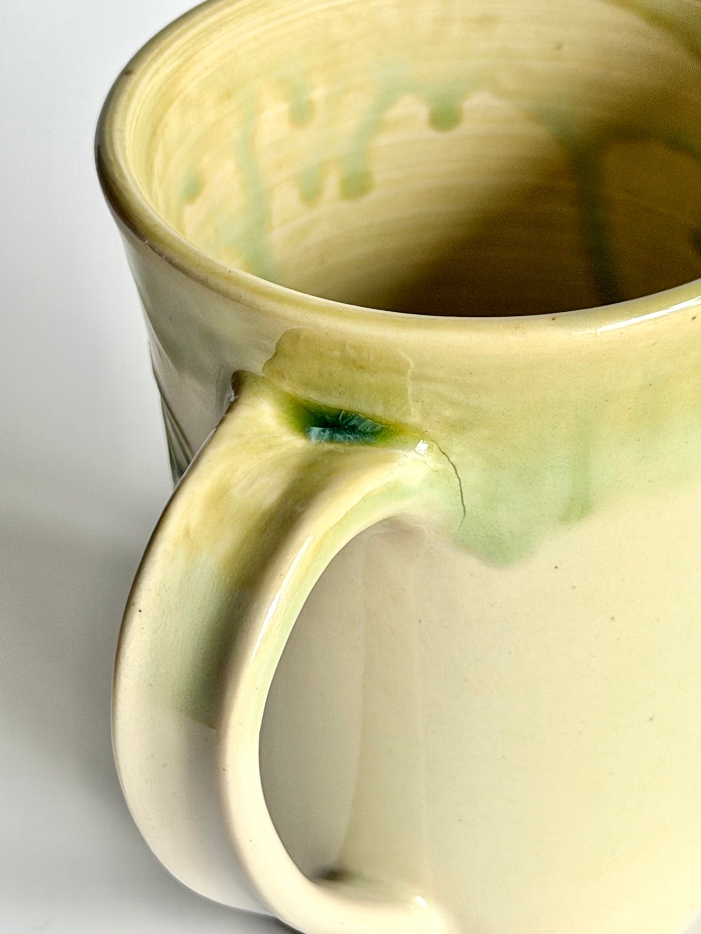 Winged Ones Mug: Luna Moth  #4145