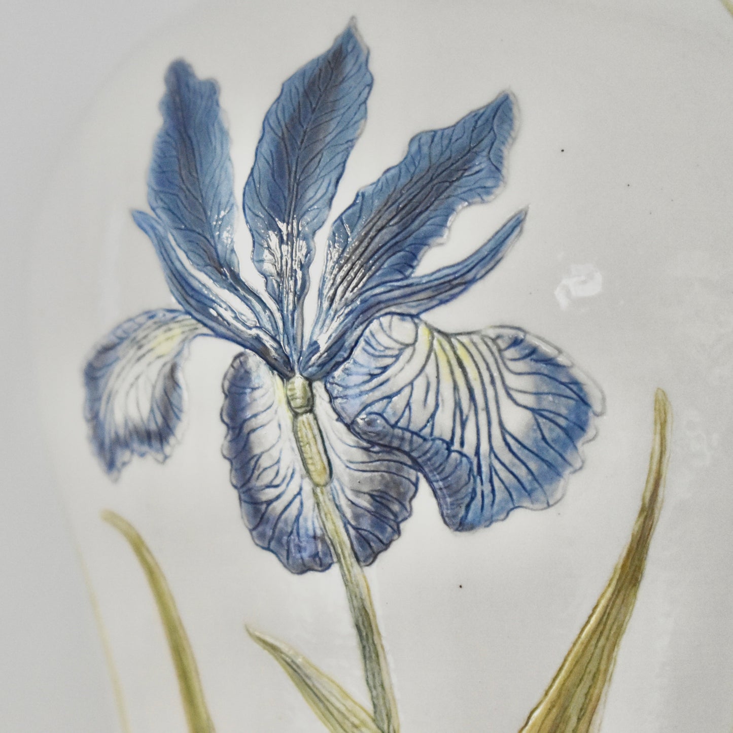 Iris & Cabbage White  #4005