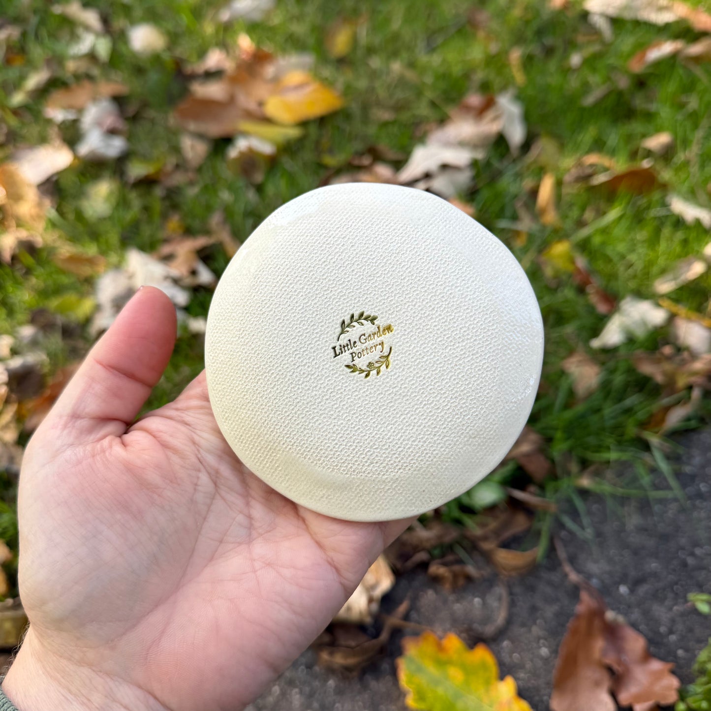 Trinket Dish Large: Hedgehog #4108