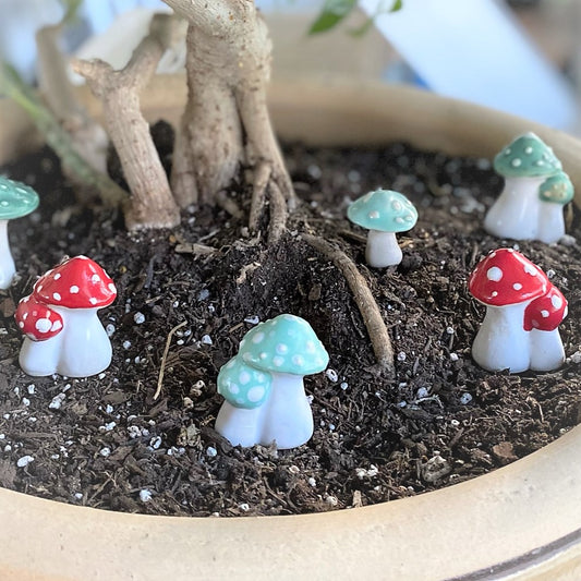 Double Garden Mushroom