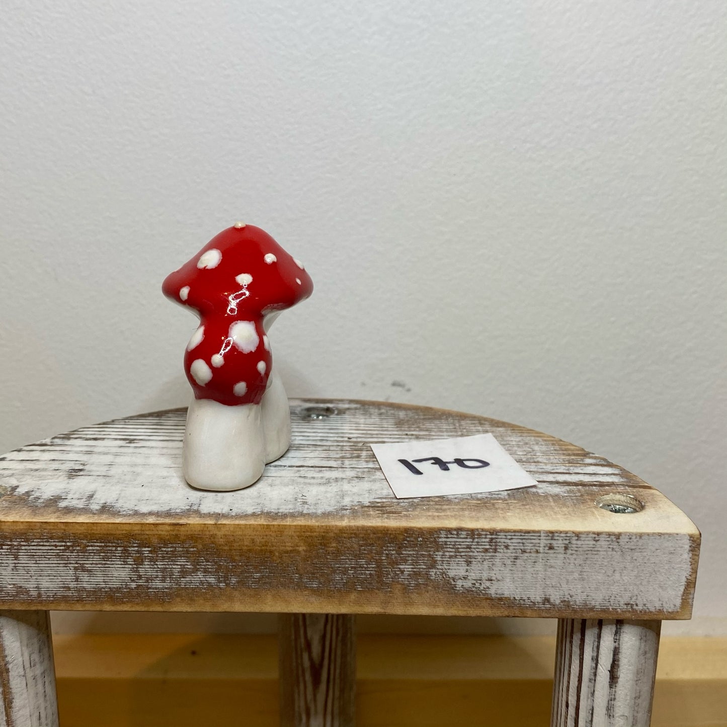Double Garden Mushroom