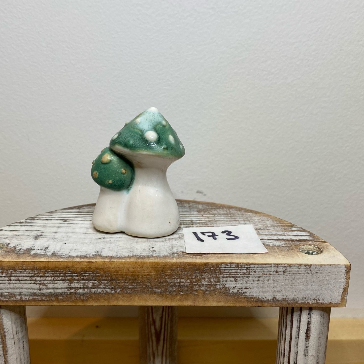 Double Garden Mushroom