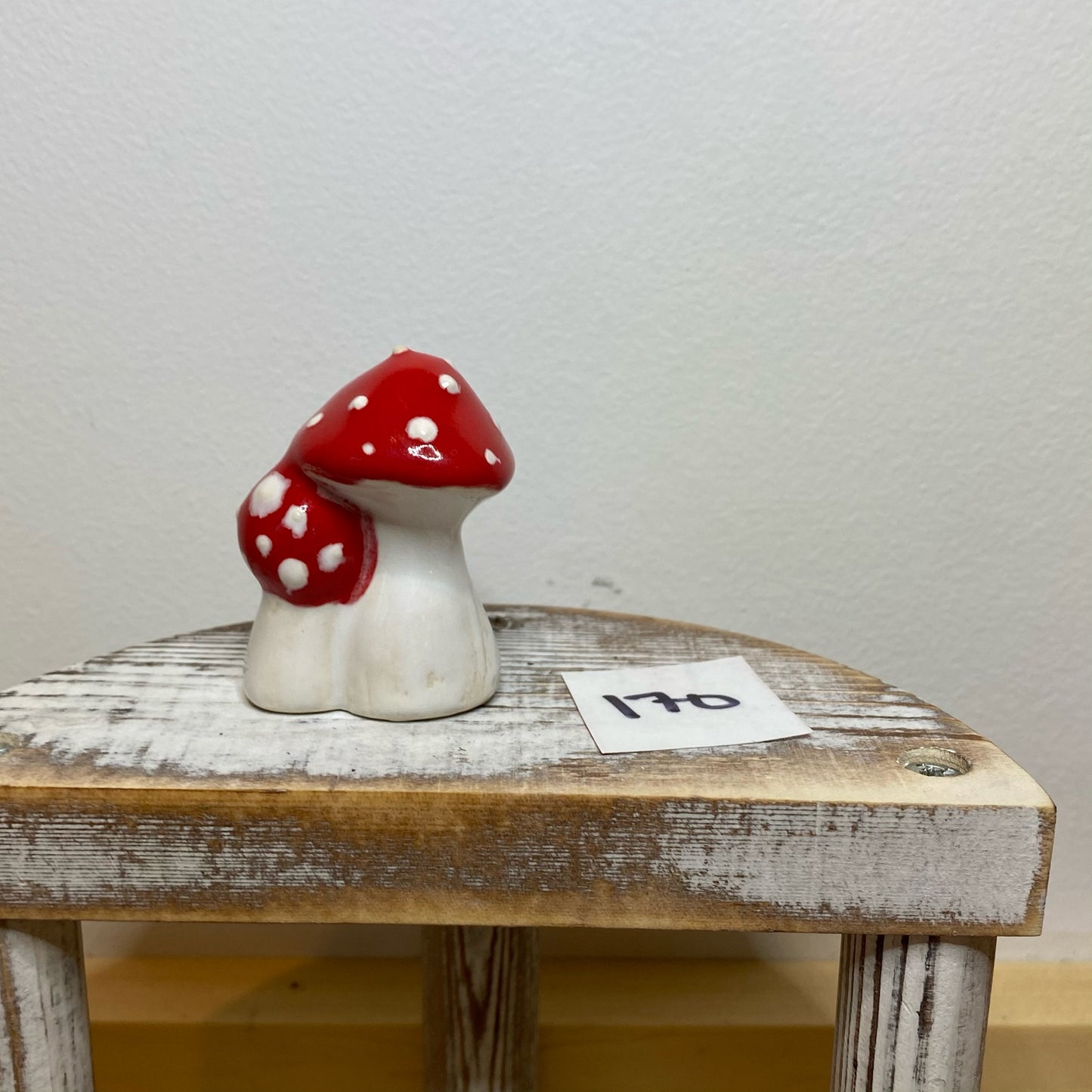 Double Garden Mushroom