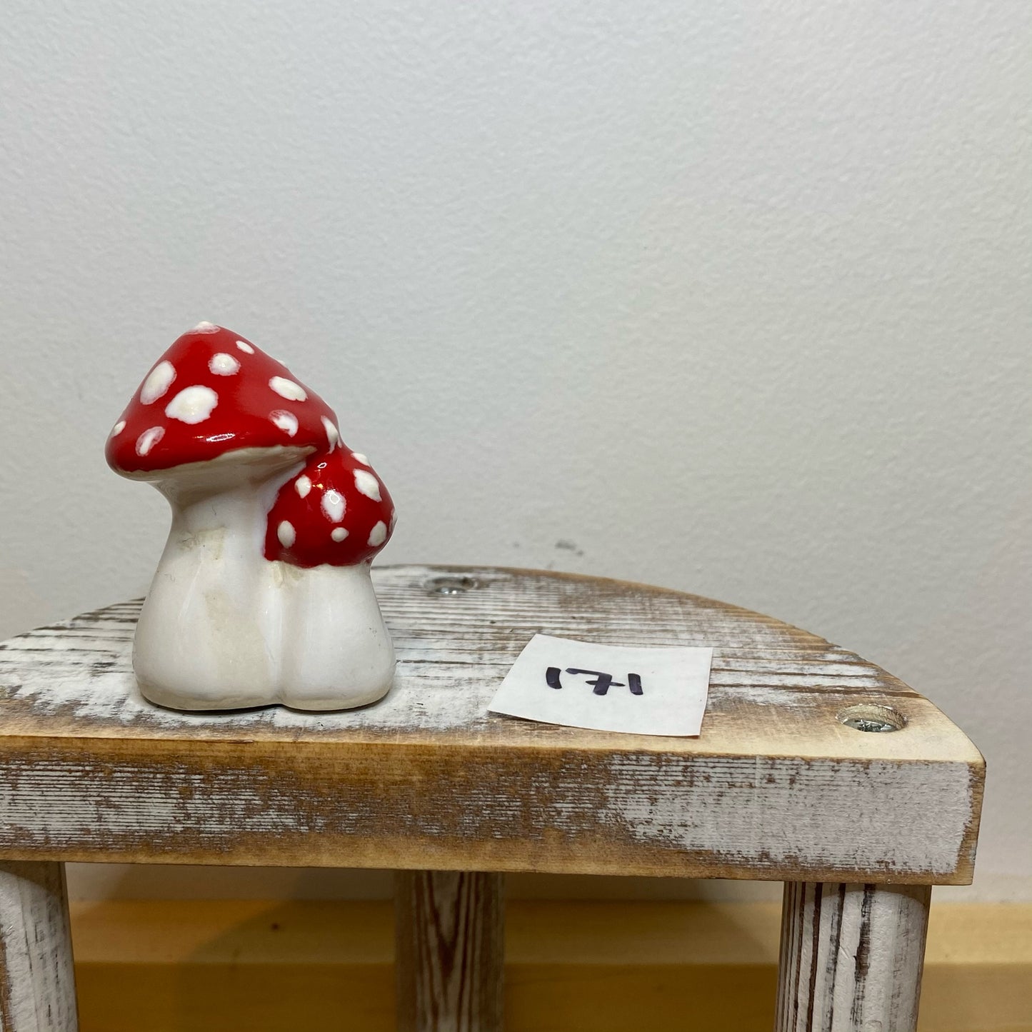 Double Garden Mushroom