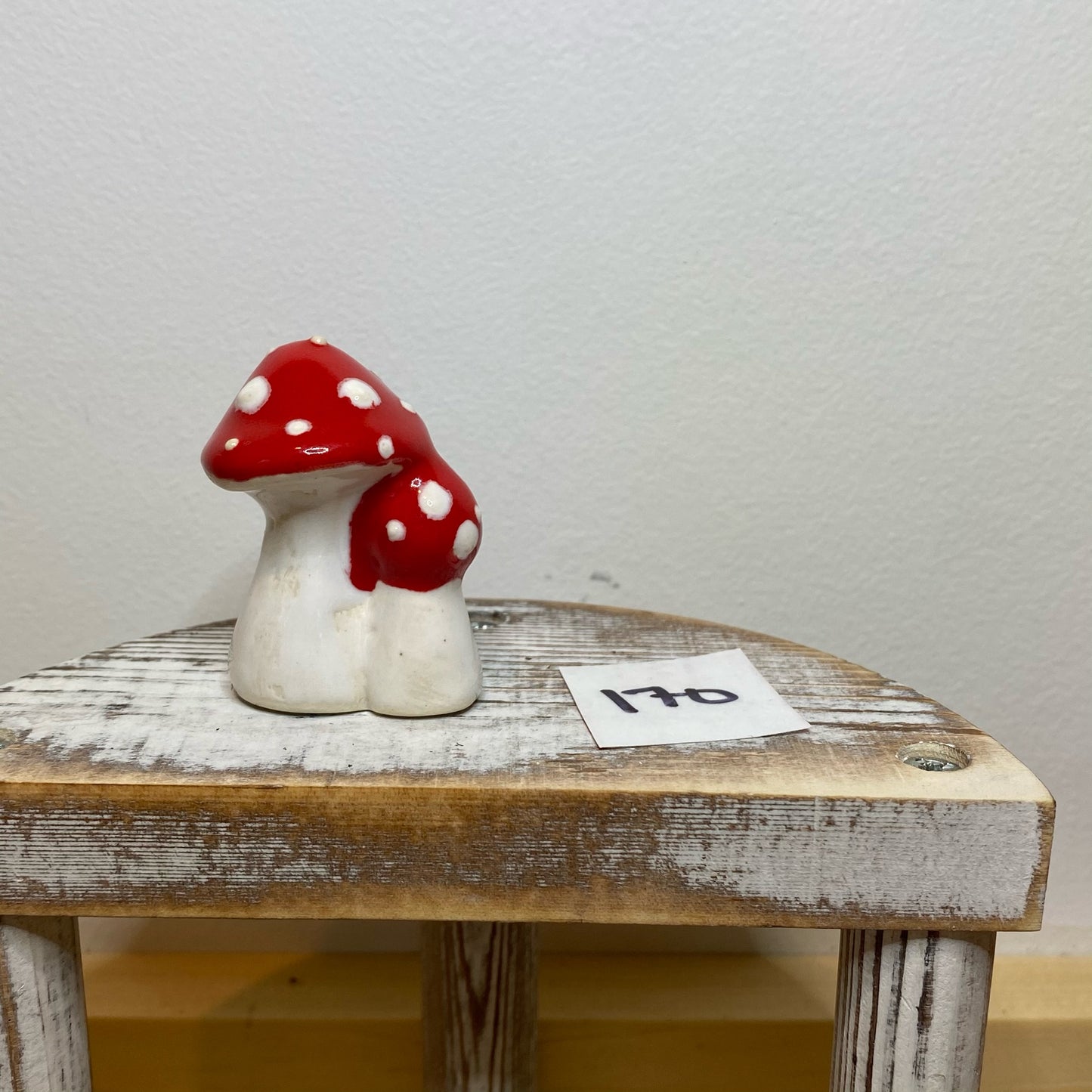 Double Garden Mushroom