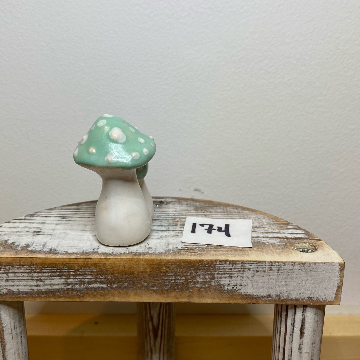 Double Garden Mushroom