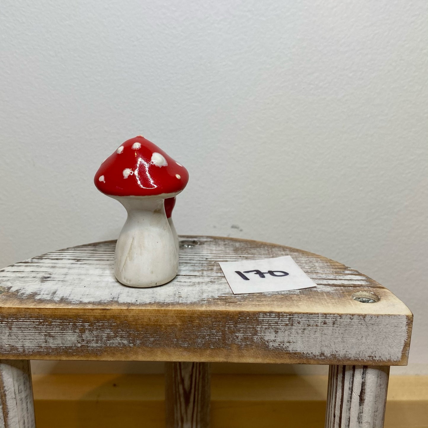 Double Garden Mushroom
